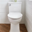 Townsend VorMax One-Piece 1.28 gpf/4.8 Lpf Chair Height Elongated Toilet with Seat-2