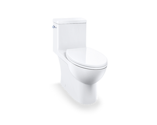 Caroma Caravalle 1pc Single Lever Toilet