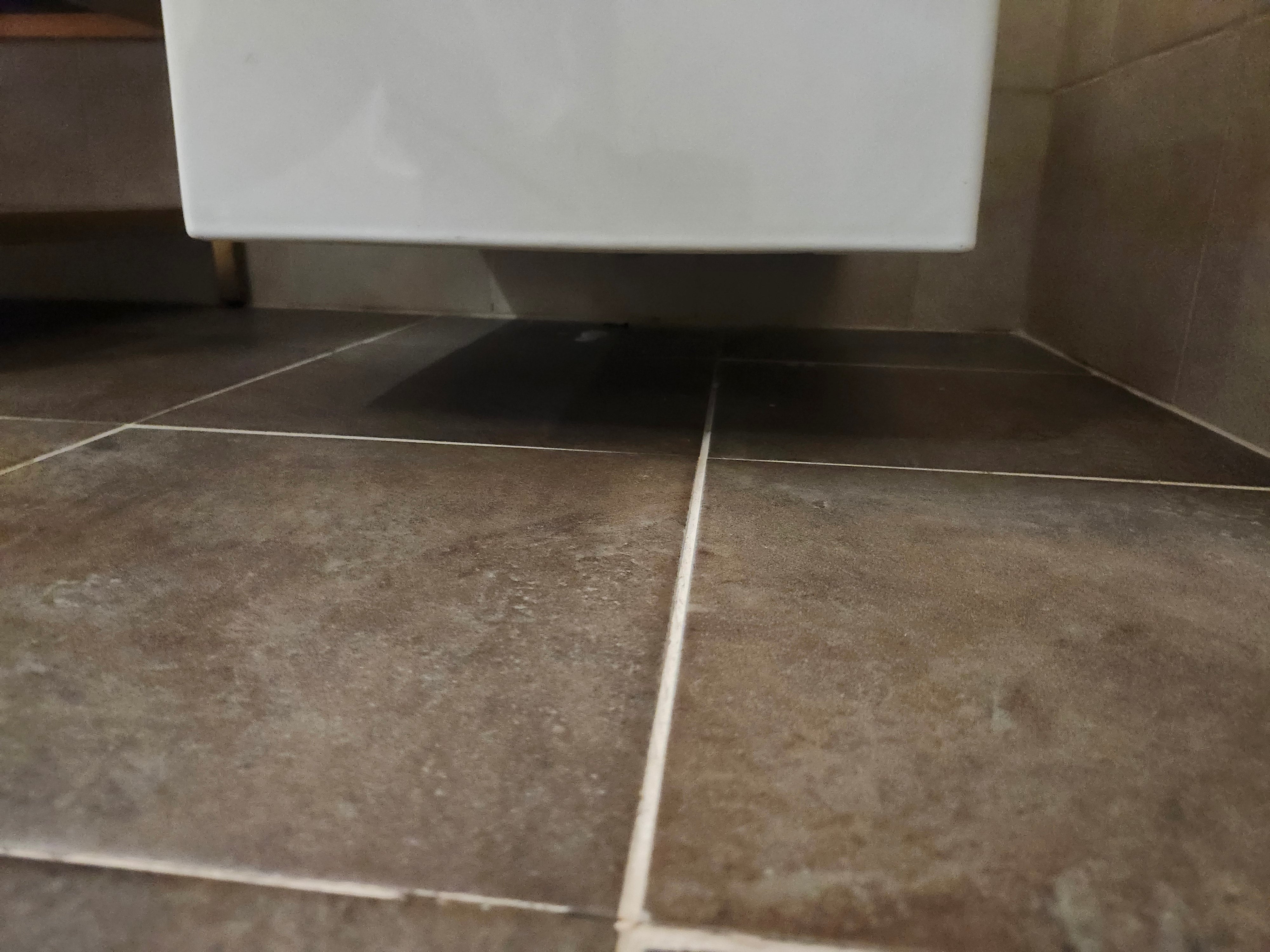 Duravit Elongated Wallhung Toilet and Seat Combo (as is)