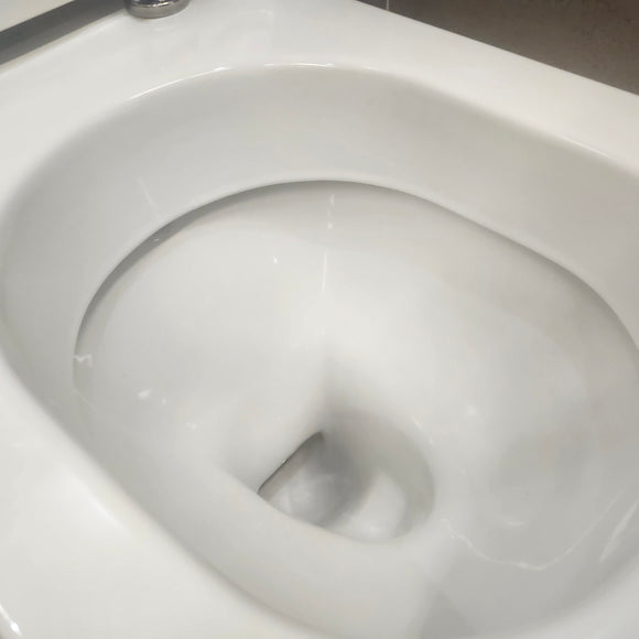 Kohler Reve Elongated Dual Flush 1 pc toilet Floormodel as is Clearance (H19) K3797