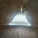 Sea Gull 44060-962 Bathroom Fixture Floormodel Clearance As Is (H11)-2