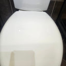 American Standard H2O 2pc Toilet 4133A218020 3706216020 Floormodel Clearance as is-6