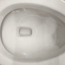 American Standard Boulevard Elongated Right Heigh 4.8lt White Toilet Floormodel Clearance as is J10-11