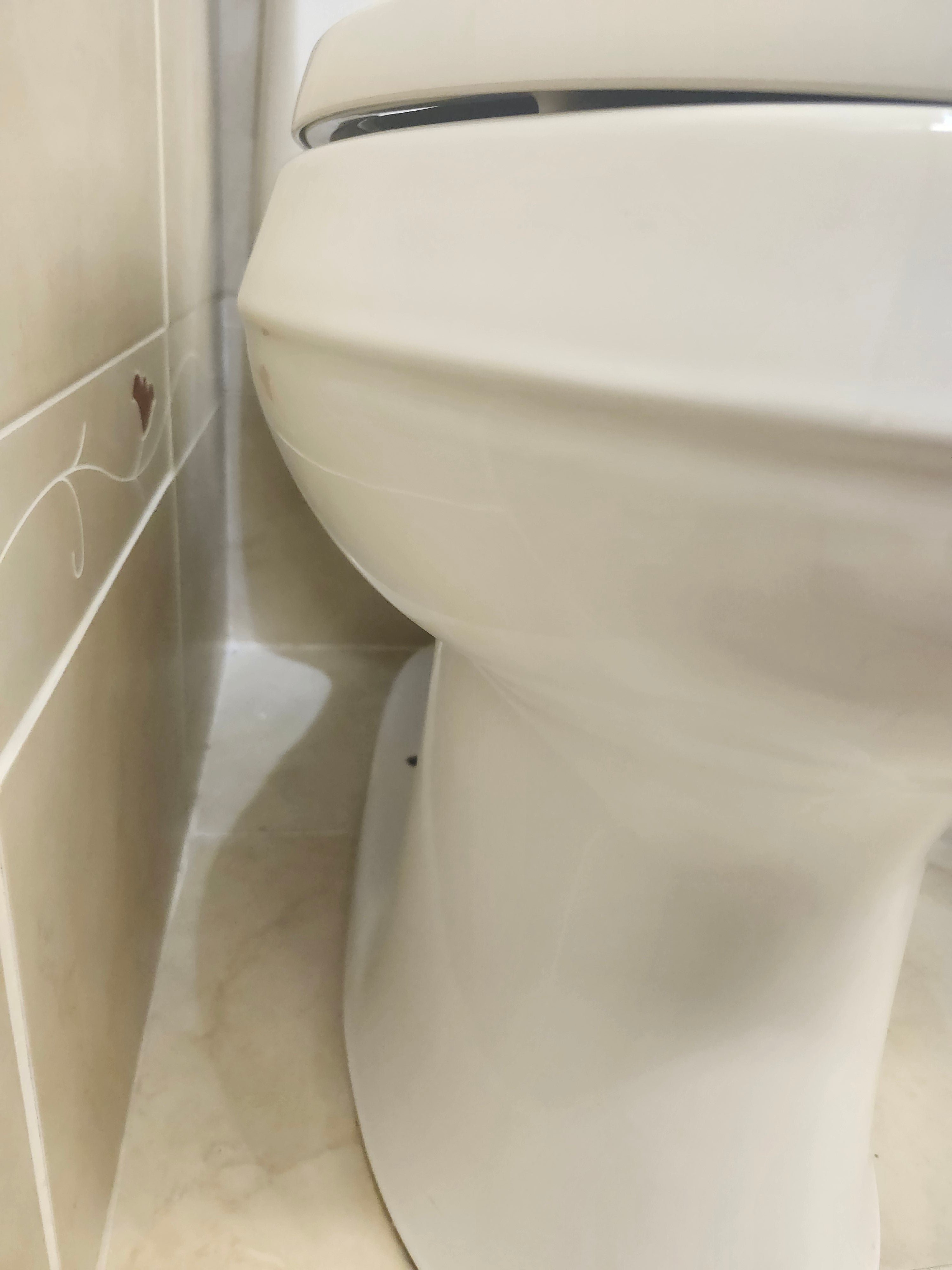 Kohler 1pc Cimarron Elongated Toilet (as is)