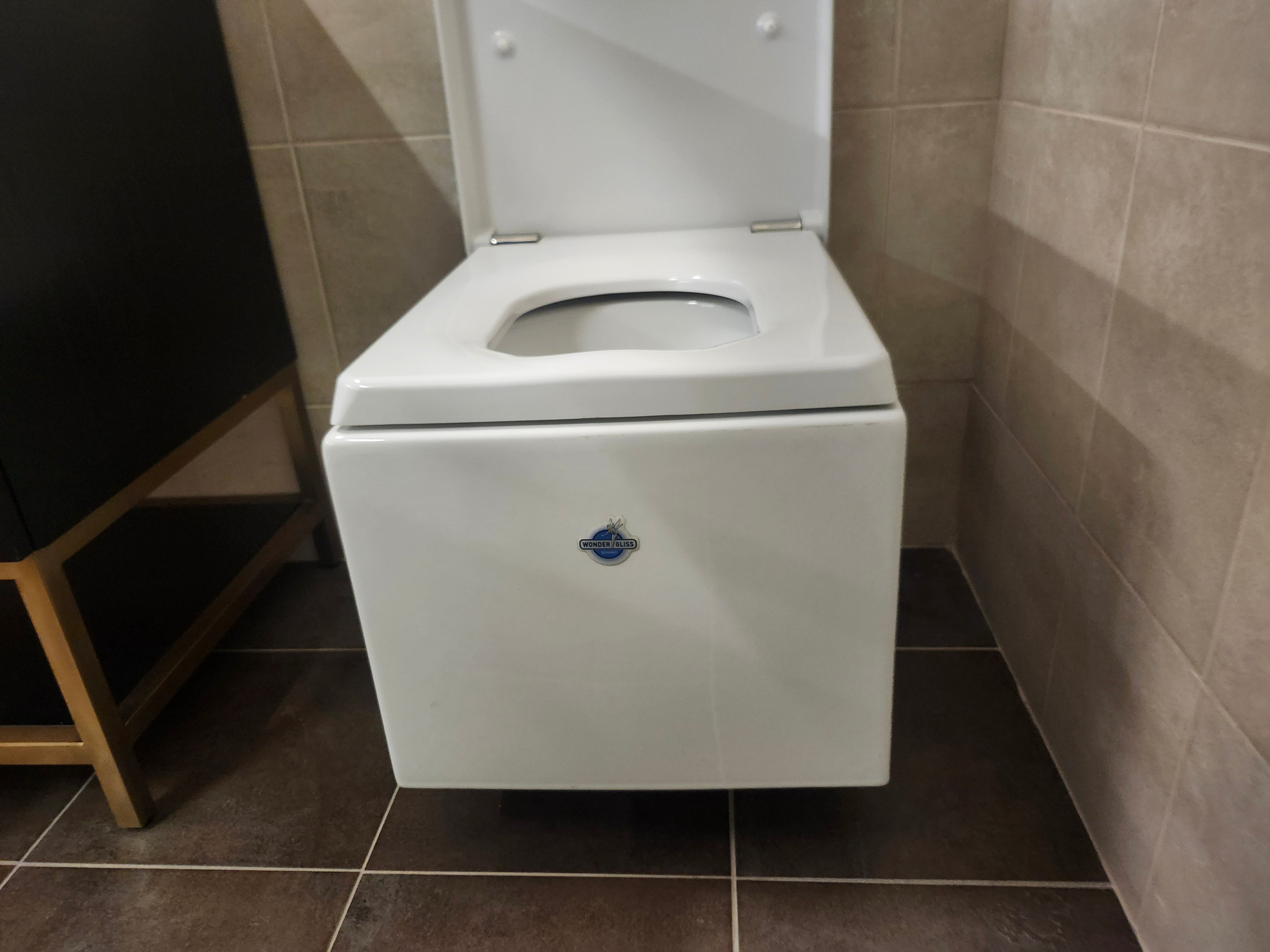 Duravit Elongated Wallhung Toilet and Seat Combo (as is)