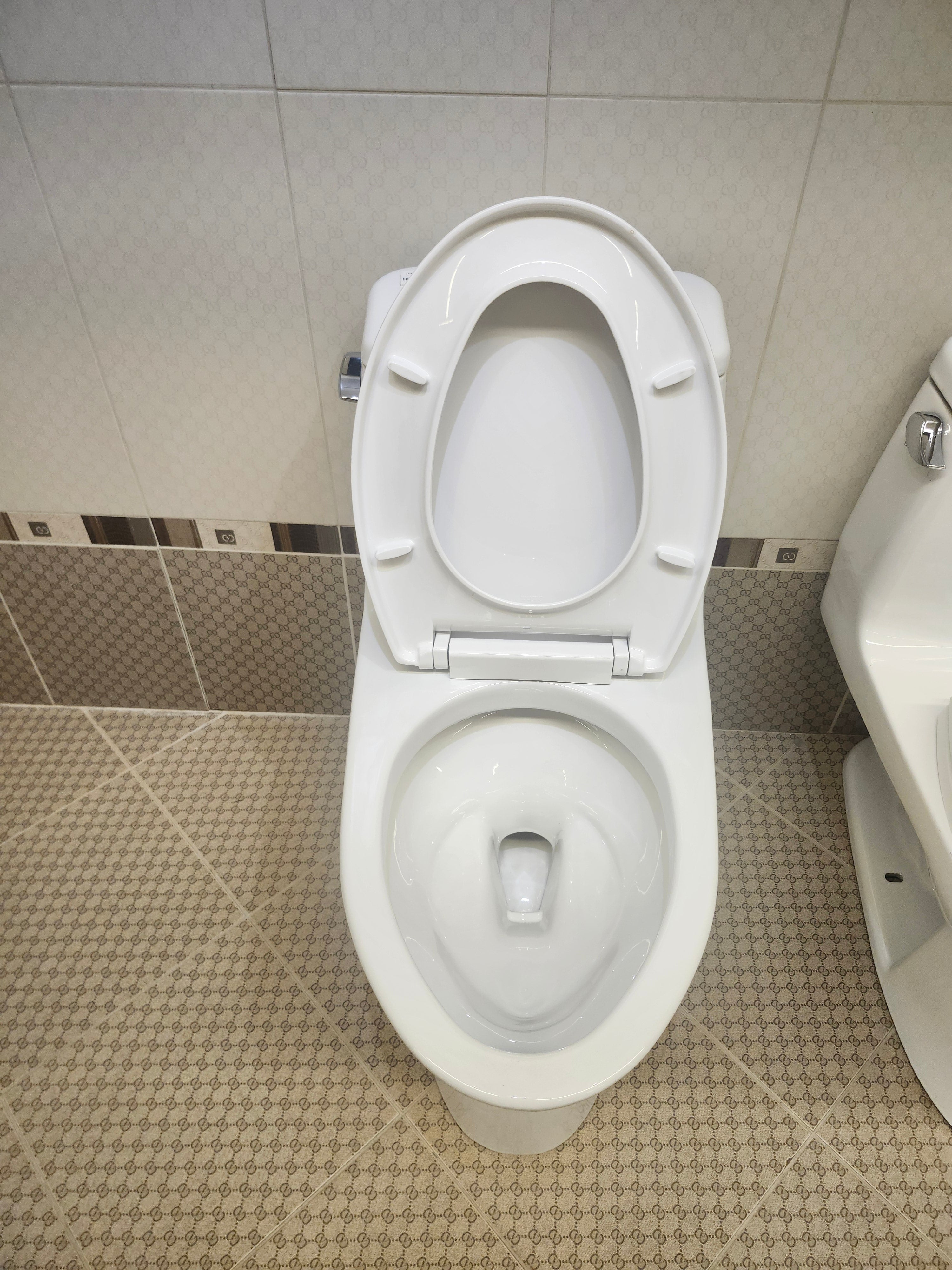 Toto Ultramax G-Max Eco Elongated Toilet (as is)