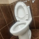 American Standard 1pc Elongated Toilet Floormodel Clearance as is (H9)2403128020-8