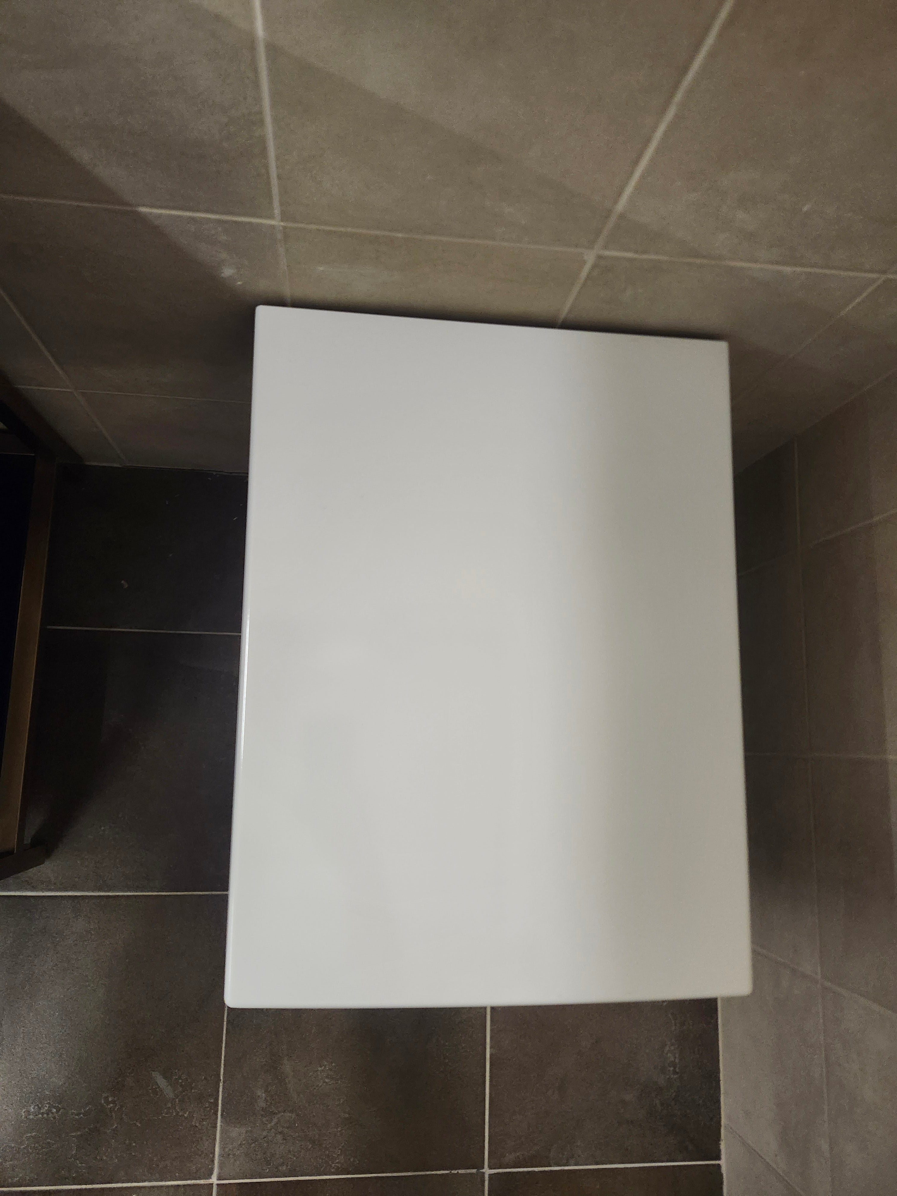 Duravit Elongated Wallhung Toilet and Seat Combo (as is)