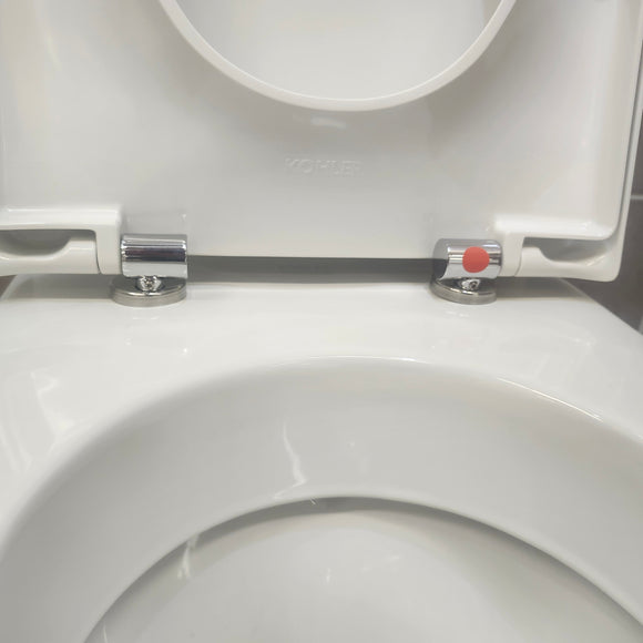 Kohler Reve Elongated Dual Flush 1 pc toilet Floormodel as is Clearance (H19) K3797
