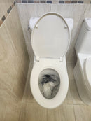 Caroma 1pc regular rim Sidney Toilet (as is)-6