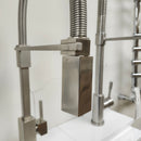 Franke Gneck Kitchen Faucet Floormount clearance Sold As Is Brush Nickel-13