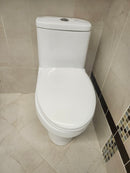 Rubi 1pc dual flush elongated Toilet (as is)-1