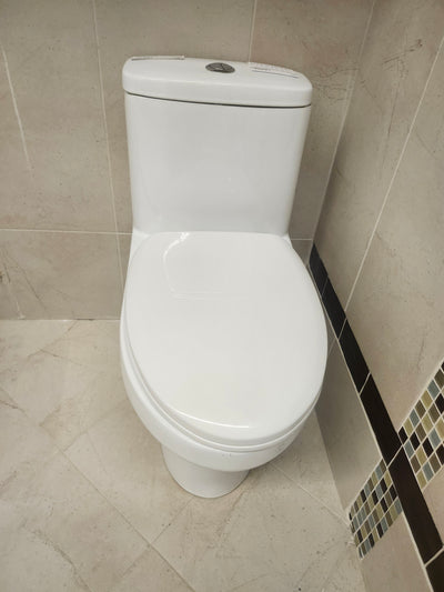 Rubi 1pc dual flush elongated Toilet (as is)