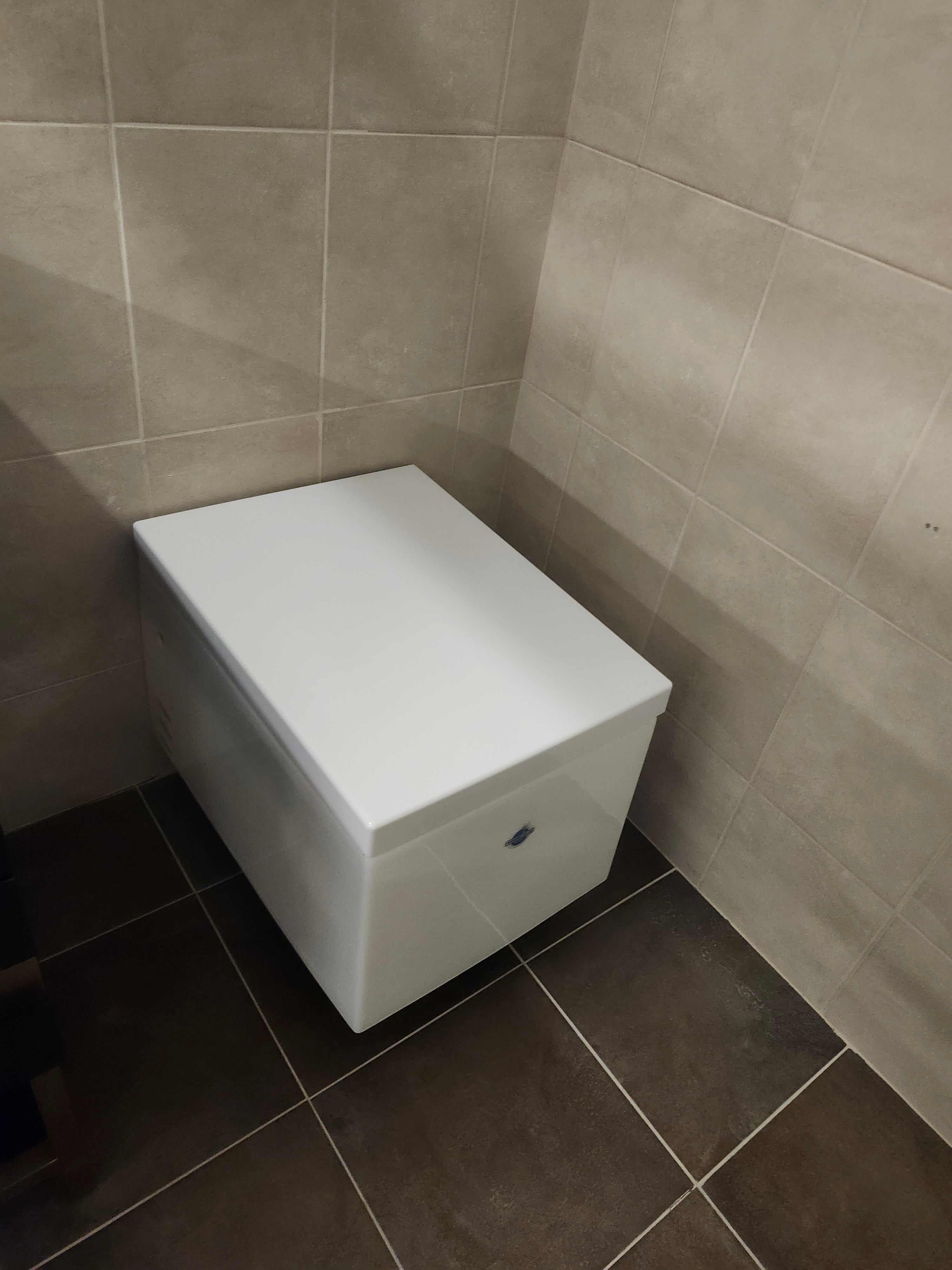 Duravit Elongated Wallhung Toilet and Seat Combo (as is)