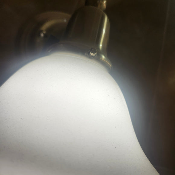 Sea Gull 44060-962 Bathroom Fixture Floormodel Clearance As Is (H11)