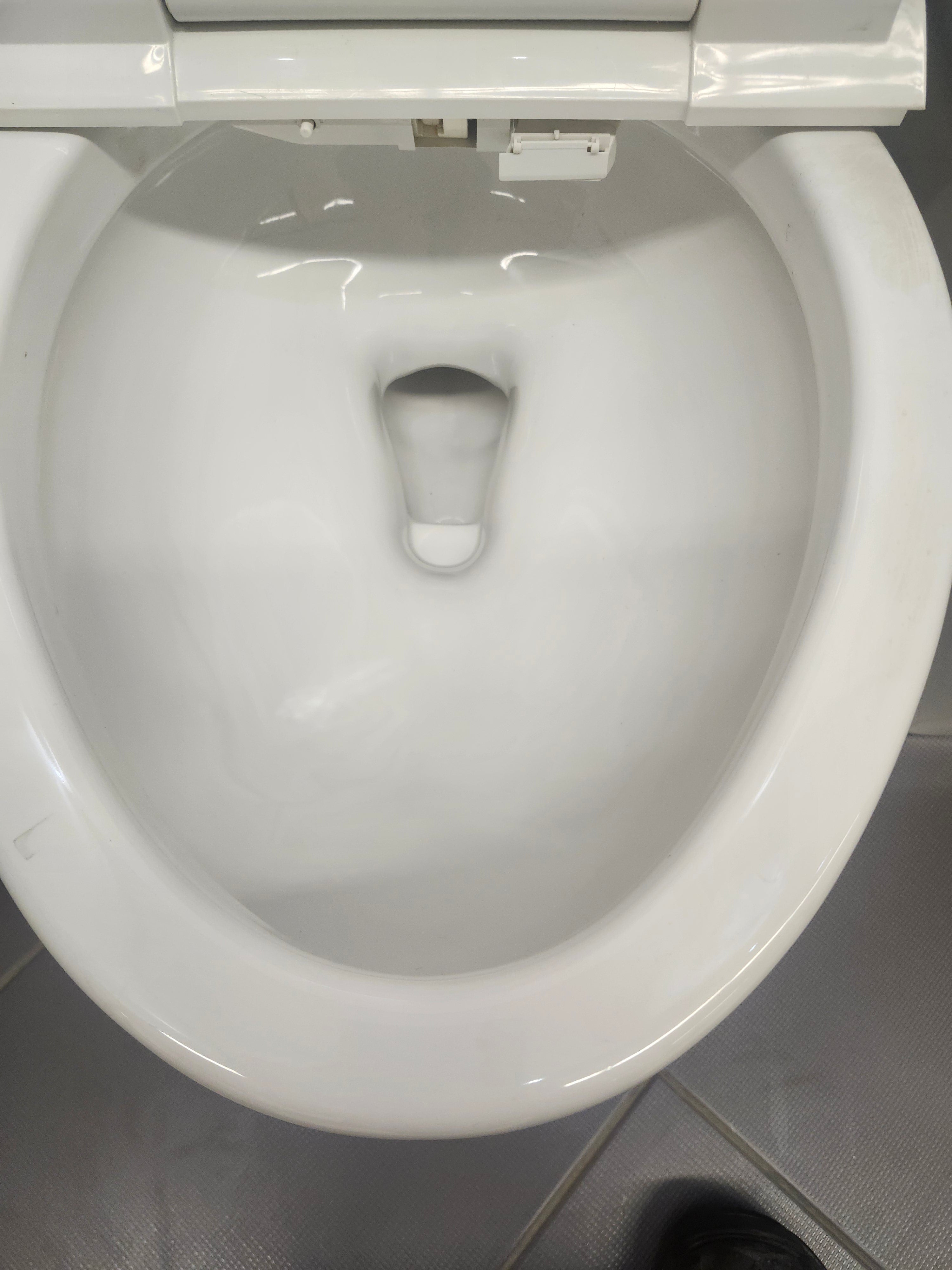 Kohler 1pc Toilet with Bidet Seat Combo (as is)