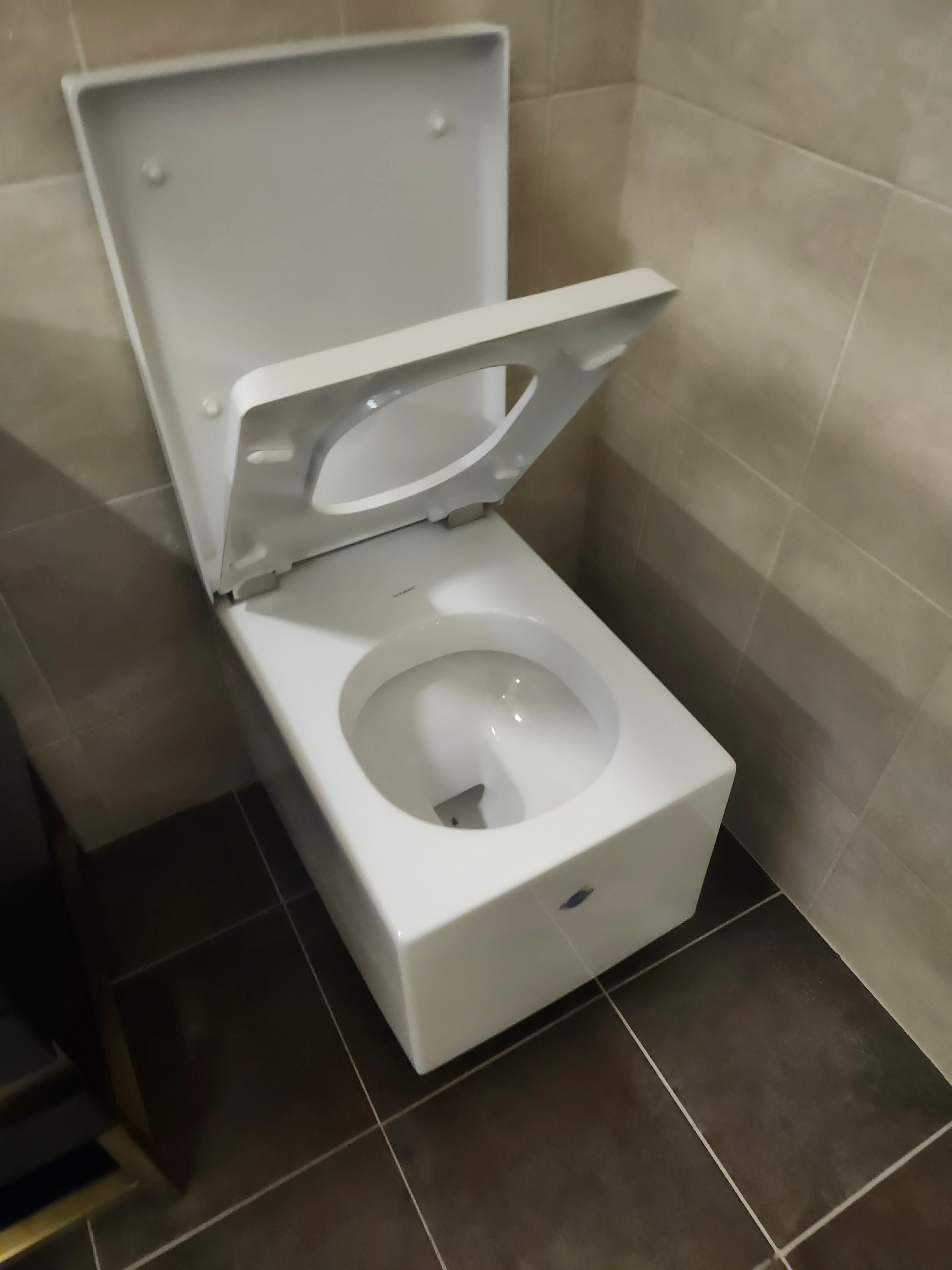 Duravit Elongated Wallhung Toilet and Seat Combo (as is)