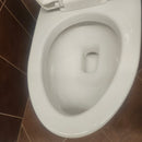 American Standard 1pc Elongated Toilet Floormodel Clearance as is (H9)2403128020-9