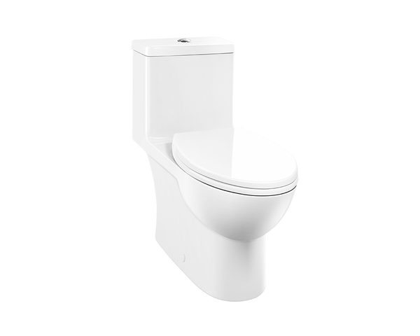 Caroma Caravelle 1pc Toilet With Seat