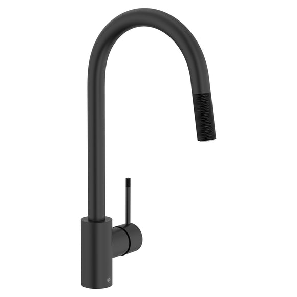 DXV Etre Kitchen Pull Down Faucet