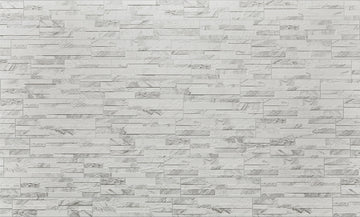Rondine Gioia Bianco Porcelain Tiles, Priced Per Tile 6X24