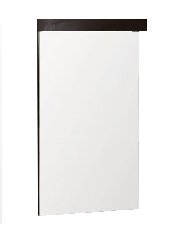 Vida Wallmount Vanity Mirror