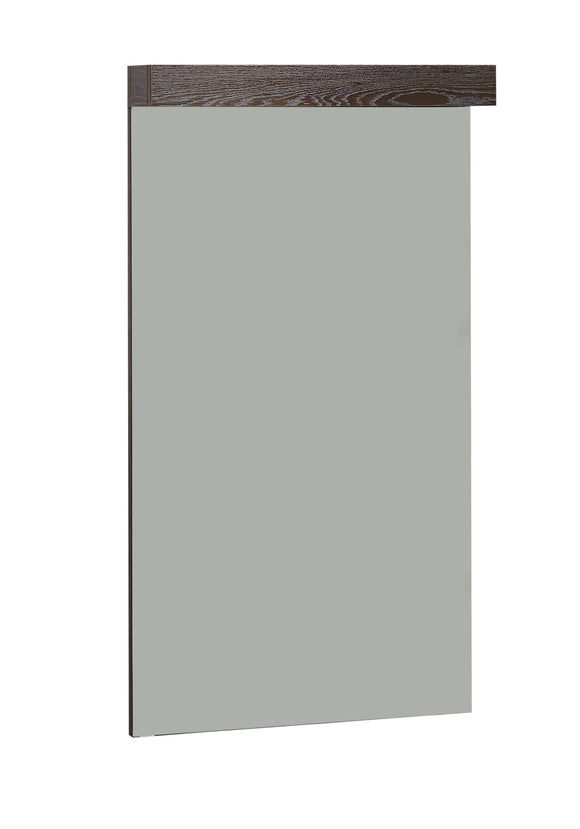 Vida Wallmount Vanity Mirror