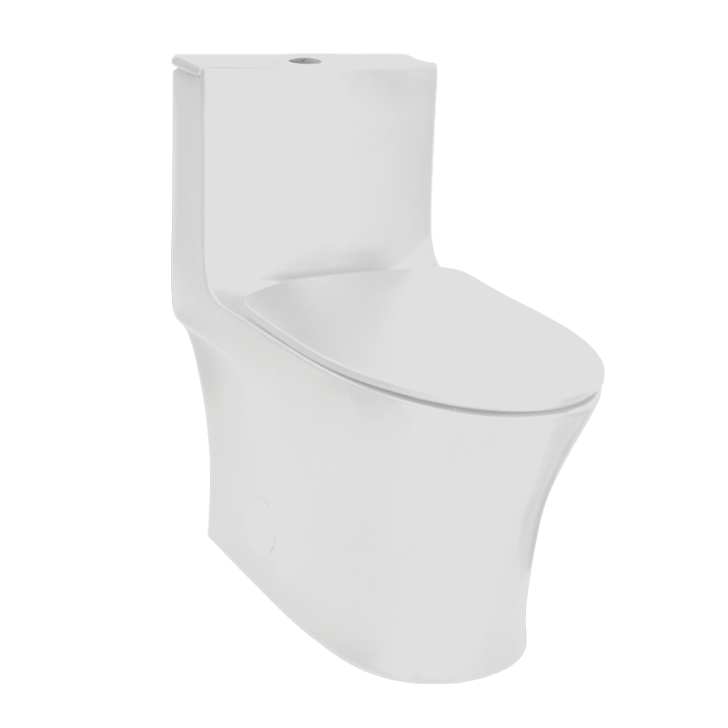 Rubi One Piece Toilet - 0